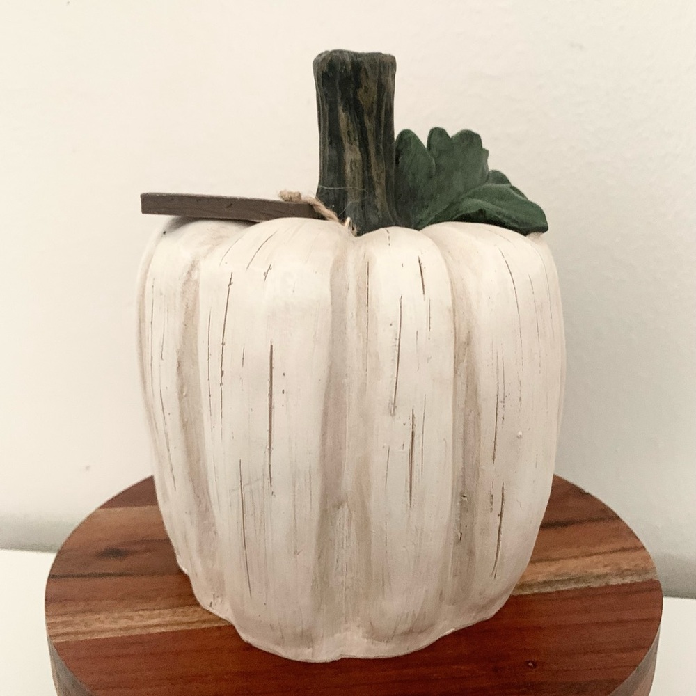 Beige Pumpkin Decor with Green Leaf